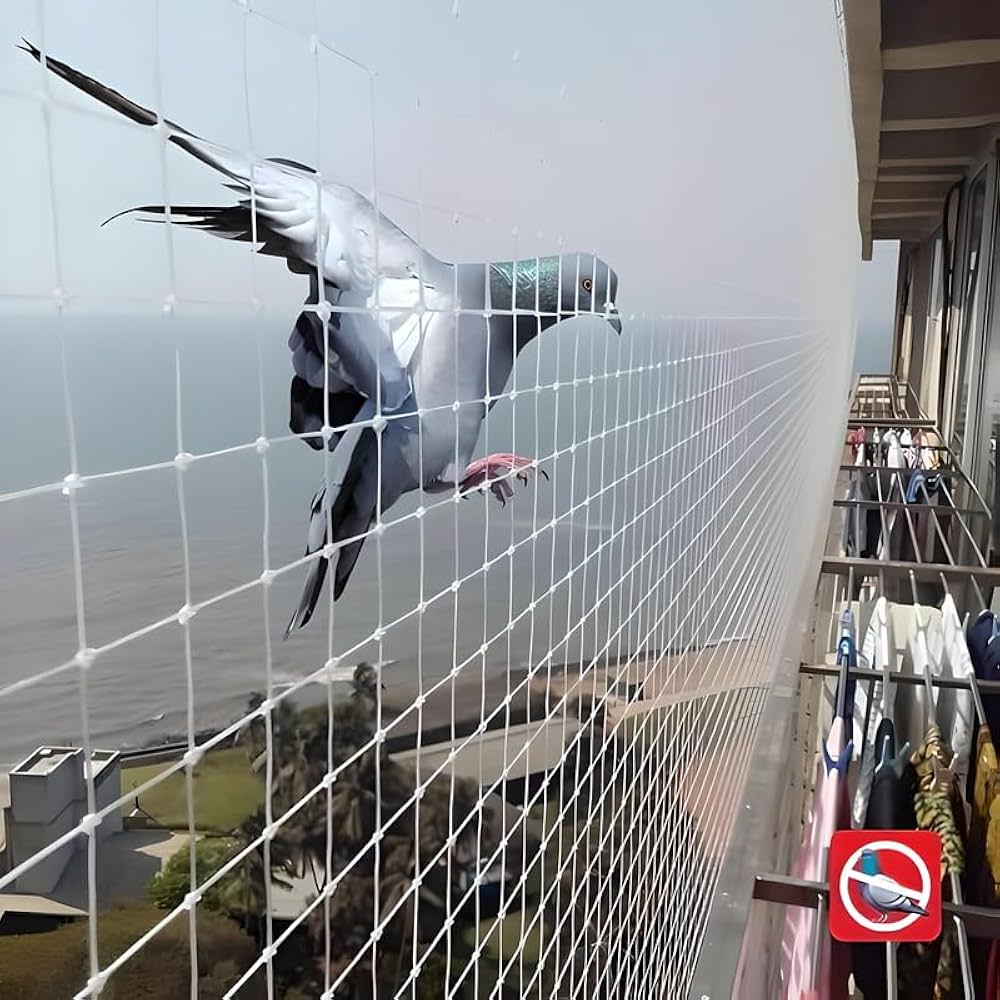 Bird Net Installation